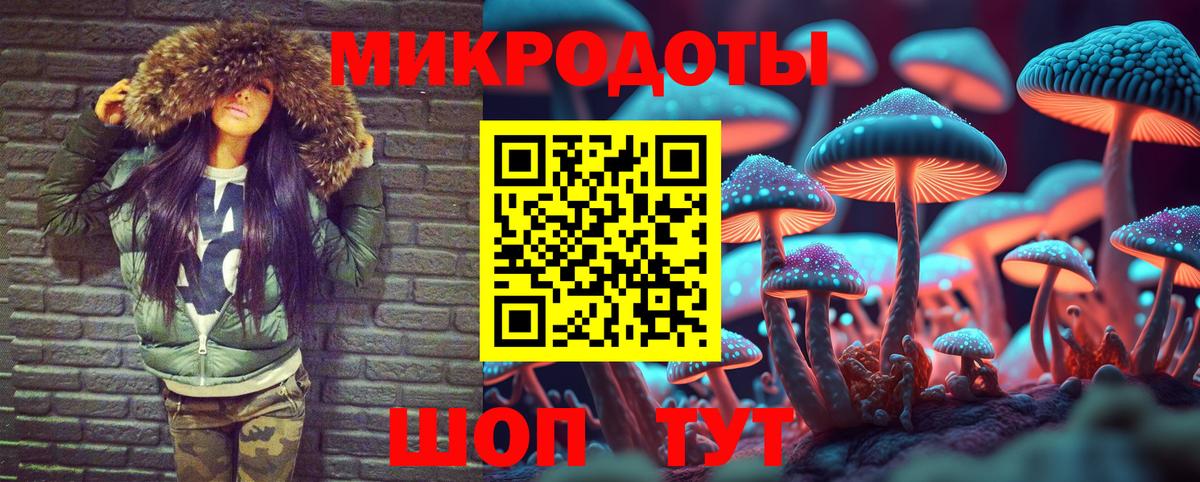Псилоцибиновые грибы прущие грибы Хабаровск