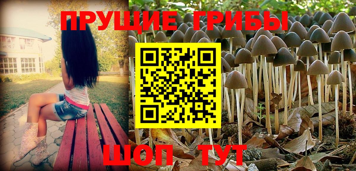 Галлюциногенные грибы GOLDEN TEACHER  Вход с VPN  Хабаровск  Галлюциногенные грибы мицелий 